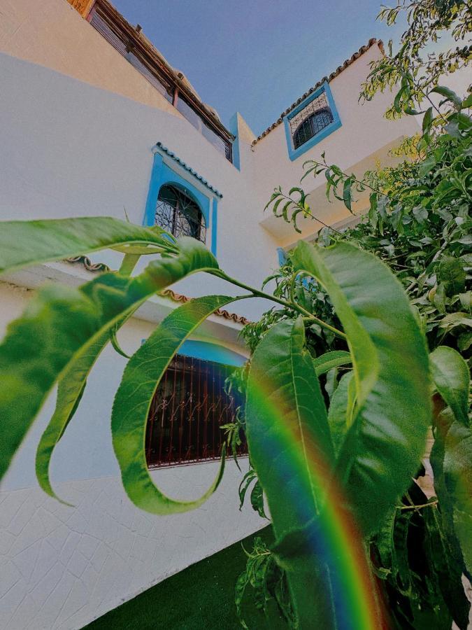 Auberge Dalia เชฟชาอูน ภายนอก รูปภาพ